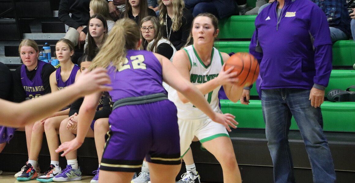 Loomis Public School Loomis Girls Basketball